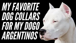 THE BEST DOG COLLARS FOR BIG DOGS [THE BEST COLLARS FOR AGGRESSIVE DOGS 2020]