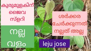 കുരുമുളകിന് ജൈവ സ്ളറി ,black pepper  organic  fertilizer,