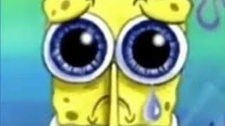 SPONGEBOB SQUAREPANTS HATE!