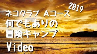 ネコクラブ「何でもありの冒険キャンプ」2019A（ネコのわくわく自然教室 2019/09）