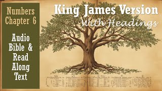 NUMBERS 6 | KJV DRAMATIZED AUDIO BIBLE (With Text & Images)
