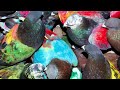 Blawan - Weirdos United