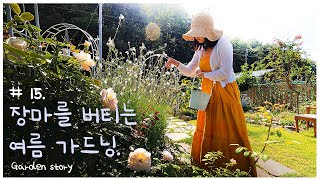 [정원 이야기15편 4k] Korean garden. 장마를 버티는 여름 가드닝/능소화 지지대 만들기/항아리 뚜껑 재활용/잔디깎기/사피니아 가지치기