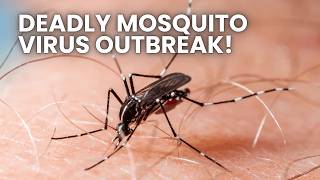 New Deadly Mosquito Virus Is Spreading Across the Country