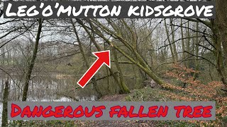 LEG O'MUTTON IN KIDSGROVE WALK AROUND