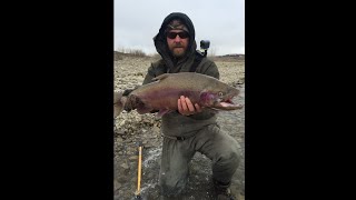 Fly Fishing for Big Rainbow and Brown Trout