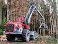 🌲*biggest* - Komatsu 951 • Forstbetrieb D.Wiese • Harvester • Käferholz • Part-1🌲