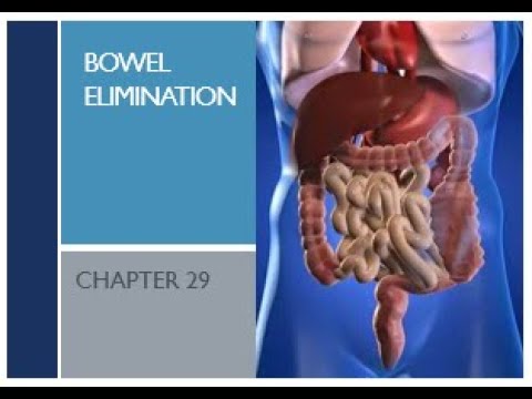 Chapter 29: Bowel Elimination - YouTube