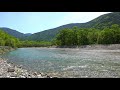 【パワースポット】自然音　川のせせらぎ　新緑の上高地　明神橋　美しい日本の水風景