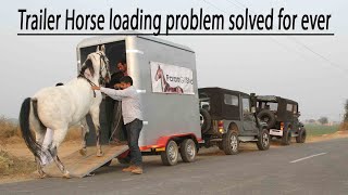 horse trailer loading solved for ever