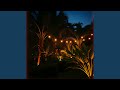 Dancing Under The Moon (Radio Edit)