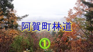 阿賀町林道 ①紅葉