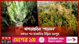 ৫৮টি 'পাড়াবন' সংরক্ষণ করছেন পাহাড়িরা | Forest conservation | Khagrachari  | Somoy TV