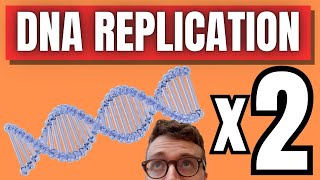 DNA Replication Explained Step-By-Step
