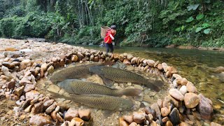 The boy Lam arranged rocks to make a fish trap and luckily caught many big fish in the trap.