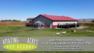 Amazing Acres Pet Resort | Pet Boarding in Belgrade, MT