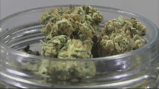 Businesses react to Trump's executive order on marijuana reclassification