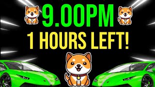 BABY DOGECOIN | CONGRATULATIONS = $0.0001 NEXT | 0000 ZERO KILL | BABYDOGE BREAKING NEWS TODAY