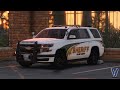 LM Pickens County Based BCSO  livery/EUP Pack 2021