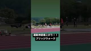 小学生の運動神経を爆上げします！！運動神経向上運動メニュー【ブリッジウォーク】