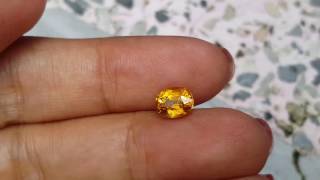 พลอยบุษราคัม บางกะจะ Yellow sapphire สีน้ำทอง ไฟเพชร 1.5 กะรัต