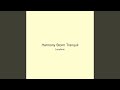 Harmony Storm Tranquil