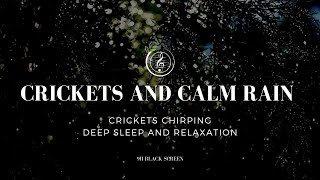 🦗Crickets Chirping and 🌧️Calm Rain ASMR Sound I Deep Sleep and Relaxation, 9 hours Meditation Sound