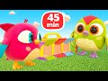 Hop Hop the owl & Baby cartoons for kids. Baby videos for kids. Cars and toys for toddlers.