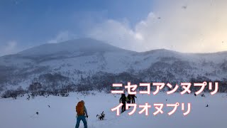 ニセコアンヌプリ イワオヌプリ バックカントリー 【北海道雪山登山ガイド】 Backcountry skiing Hokkaido Mt.Annupuri-Iwaonupuri