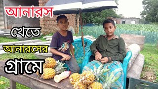 কাপাসিয়ার লোহাদী গ্রামে আনারসের দাম জানুন || Pineapple village in Lohadi || ‎@krishikothablog1601