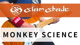 【SIAM SHADE】MONKEY SCIENCE V8 live version - Guitar Cover