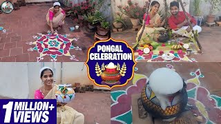 Pongal Celebration | தமிழர் திருநாள் | Festival Vlog | Lakshya Vlogs | Lakshya Junction