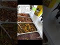 datang kuantan jom singgah restoranratupatin makanlokal kuantanpahang