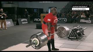 Women deadlift record Tamara Walcott 641 lbs #shorts