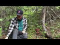 foraging for rocky mountain porcini boletus rubriceps in colorado