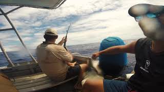 EPIC Blue Marlin and Massive 60kg Yellowfin Tuna in Fiji!