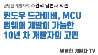 윈도우 응용 프로그램, 디바이스 드라이버, MCU 펌웨어 개발이 가능한 10년 차 개발자의 고민에 대한 의견