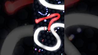 slither.io white panther kill🔥😎|#49|#shorts #viral #wormateio