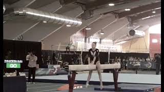 Elisa Tagliapietra Finale nazionale GAF Gold Junior3 maggio 2018