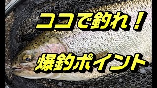 【初心者必見】渓流魚の爆釣ポイントはココ！　in旭川近郊