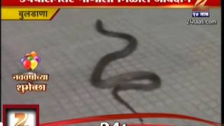 ZEE24TAAS : Snake Treatment In Buldana