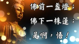 佛前一盞燈；佛下一株蓮；是啊，悟！ 【心靈享宴】