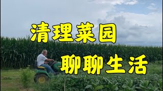 387 美国生活，今天给菜园地除草，顺便再唠嗑一下生活