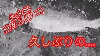 佐多岬　あら(クエ)釣り