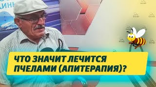 Что значит лечится пчелами (апитерапия)?