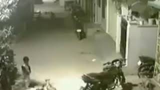 Tamil Brother save her sister from dog  |துணிச்சலான சகோதரர் தனது சகோதரிய நாய் இருந்து காப்பாற்றுவார்