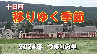 つまりの里　2024季節の移りかわり