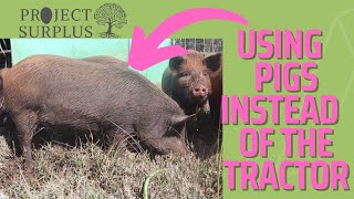 Using PIGS instead of the Tractor.
