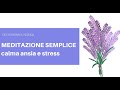 MEDITAZIONE GUIDATA SEMPLICE: esercizio di respirazione per rilassarsi, calmare ansia e stress