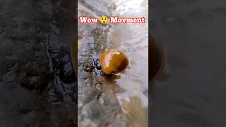watch his move #viral #new #jungle #river #riverside
